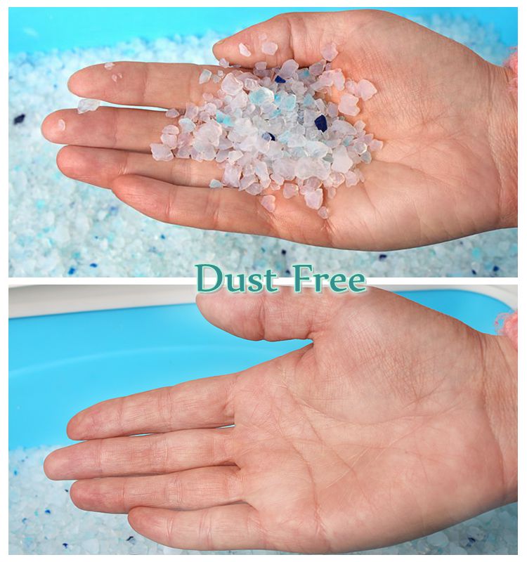 Dust Free Cat Sand.jpg